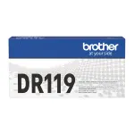 BR.DR119